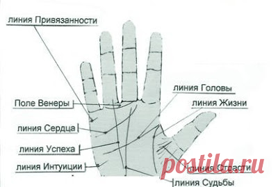 ЧТО ЗНАЧАТ ЛИНИИ НА ЛАДОНИ? 


Чтение по руке - одно из самых увлекательных занятий и развлечений. Первое упоминание о хиромантии относится к 2000 году до н. э. Хиромантия – это греческое слово, переводится как гадание или предс…
