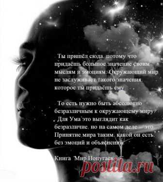 Просто будь в тишине - »