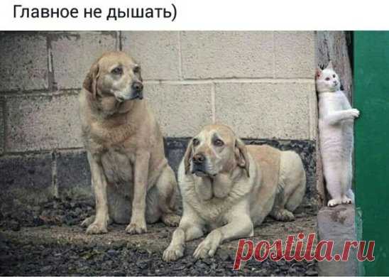 Продолжение ниже... ЖМИ
