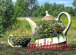 Травяной чай для здоровья и очищения.