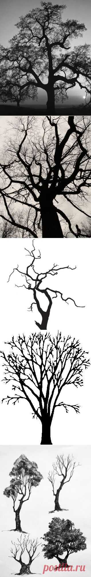 Как дети рисуют деревья?