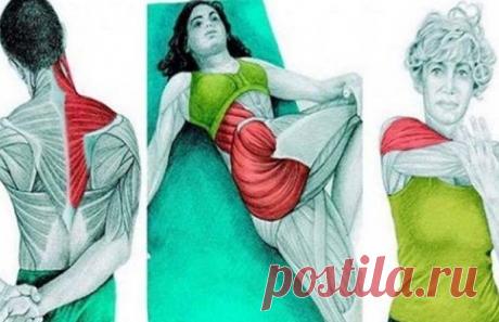 Упражнения, выравнивающие асимметрию тела: Статическая растяжка