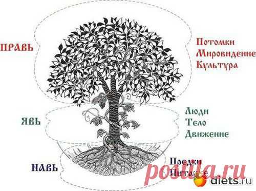 «Я - семья - род»: «По отцу и сыну честь...» —... / Handmade / Обережное / Pinme.ru / Ирина_ручная обережная вышивка