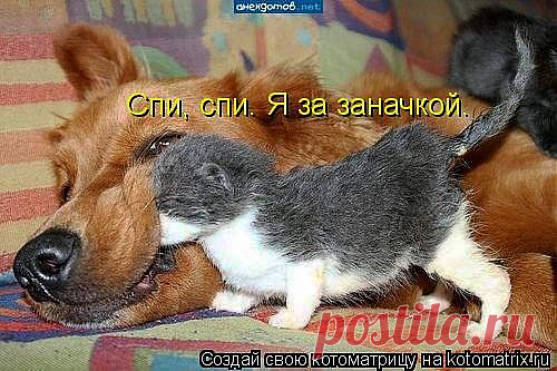 исследователь...