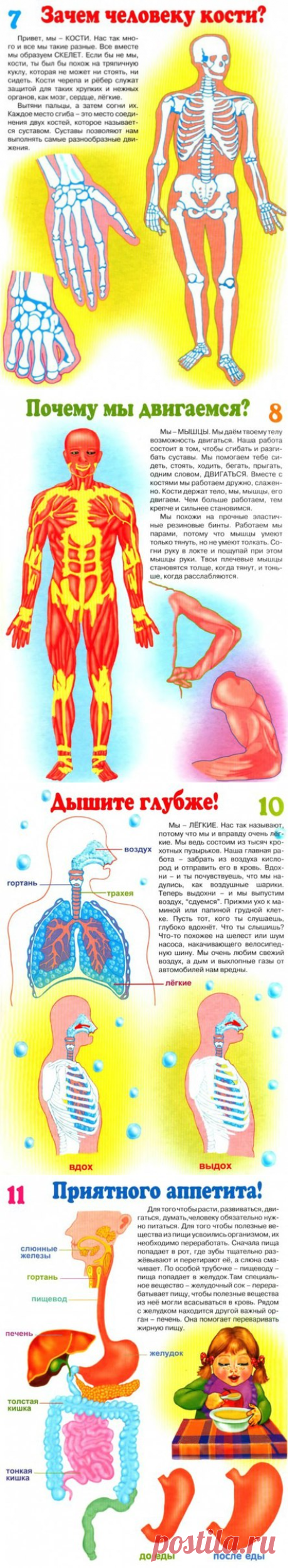 В стране выученных уроков | Начальная школа