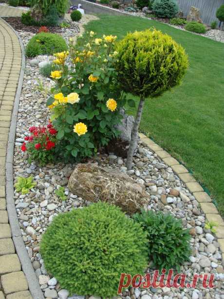 Зеленый оазис посреди сада