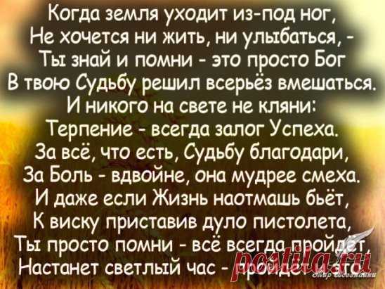 Замечательные строки