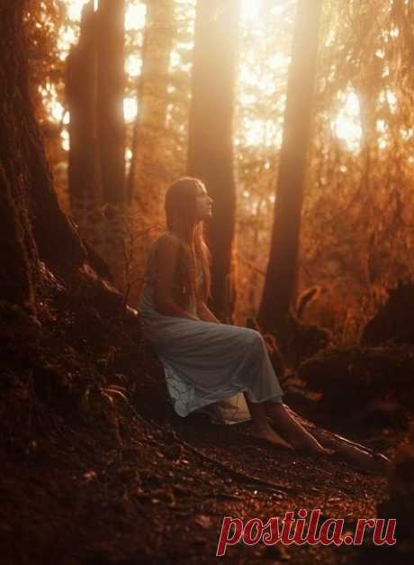 Порою вглядываясь в даль,
Мы ищем рай за облаками.
Как часто мы не замечаем,
Как много рая рядом с нами...

© Лейли Забавина