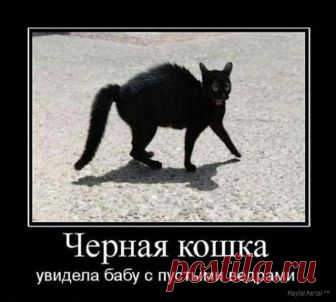 О народных приметах...