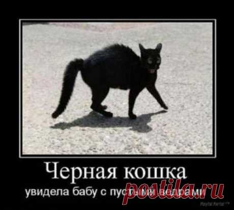 О народных приметах...