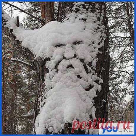 Дед Мороз всё таки существует!!!