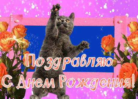 Прикольная открытка с днем рождения с котиком
