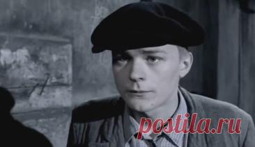 Андрей Шибаршин