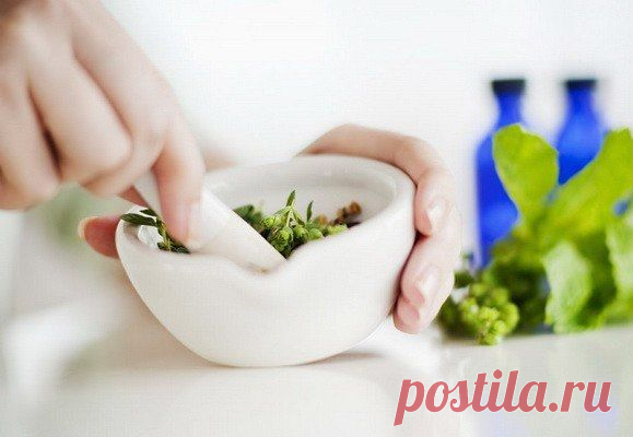 8 рецептов мазей от остеохондроза