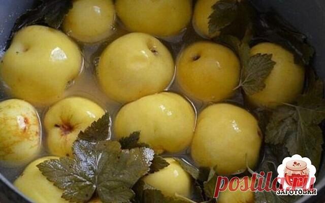 Моченые яблоки по бабушкиному рецепту на смородиновых листьях

Ингредиенты:

Яблоки - 5кг

Листья смородины - 30шт.

Вода - 5л

Сахар-200гр

Соль -1ст. л.

Приготовление

Готовим заливку. В кастрюлю наливаем воду, добавляем соль, сахар. Доводим до кипения и остужаем. По желанию сахар можно заменить медом (300г)

На дно стерилизованных банок положите по 2 листа смородины, сверху - яблоки. Затем снова чередуйте с листьями и т.д.

Заливаем остывшей заливкой и хорошо закрываем...