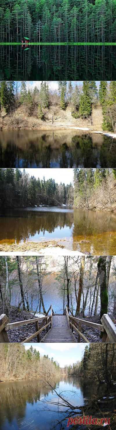 Радоновое озеро, Ленинградская область, Россия - ЖУРНАЛ СО ВКУСОМ