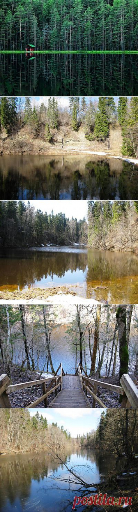 Радоновое озеро, Ленинградская область, Россия - ЖУРНАЛ СО ВКУСОМ