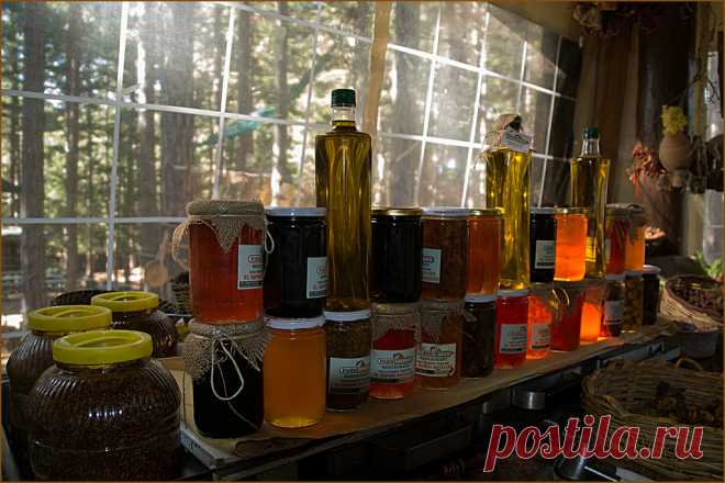 All sizes | Erzeugnisse des Waldes (in explore) | Flickr - Photo Sharing!