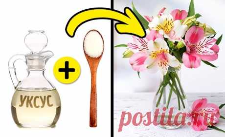 9 необычных способов использовать сахар не по назначению