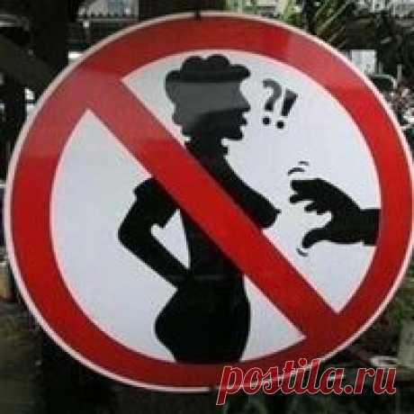 Самые прикольные животные в мире / Видеохит - лучшее видео интернета