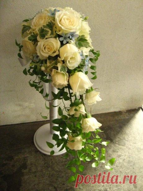 флористика