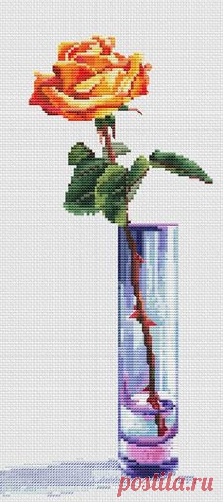 Работы учеников – 159 photos | VK