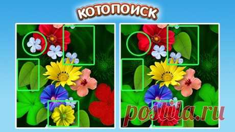 Найти все отличия на картинках не так-то просто! Не веришь? - Зайди и попробуй! https://vk.com/kotopoisk_online?ad_id=repost