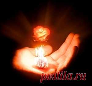 Энергия рейки | Мир Женщины/Энергия рейки это -наложение рук на тело человека или животного, чтобы утешить или облегчить боль, — настолько же древнее, как инстинкты