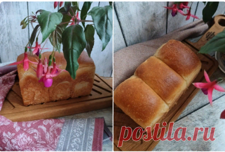 Йогуртовый "Шокупан"