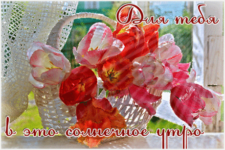 °○❀ ✿ܓ Доброго Утра! Отличного Дня! ✿ܓ❀○°