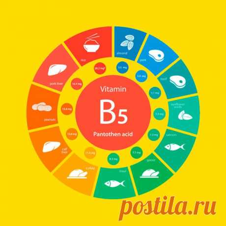 Витамин молодости и гормонального здоровья. Пантотеновая кислота / Будьте здоровы