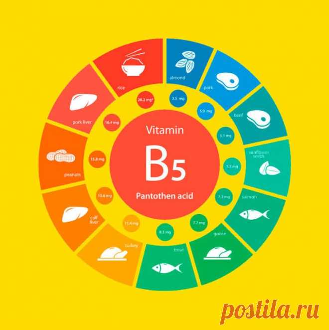 Витамин молодости и гормонального здоровья. Пантотеновая кислота / Будьте здоровы
