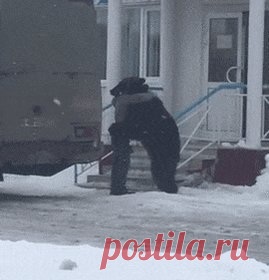 Обычные Сибирские будни