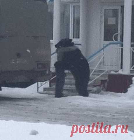 Обычные Сибирские будни