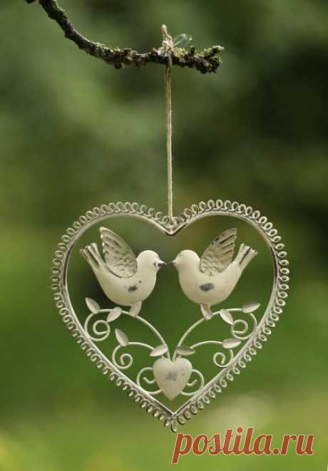loveliegreenie