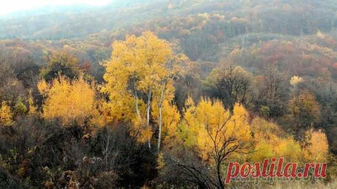 ОСЕНЬ В ГОРАХ БОЛГАРИИ часть 2
