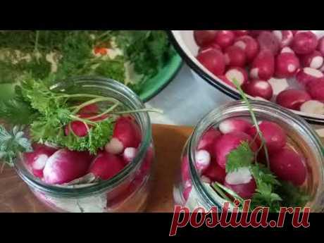 Редиска на зиму.