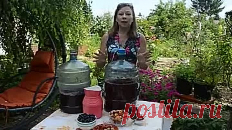Домашнее вино из черной и красной смородины