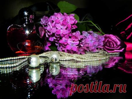 0_5e374_af9692b6_XL (800×600)