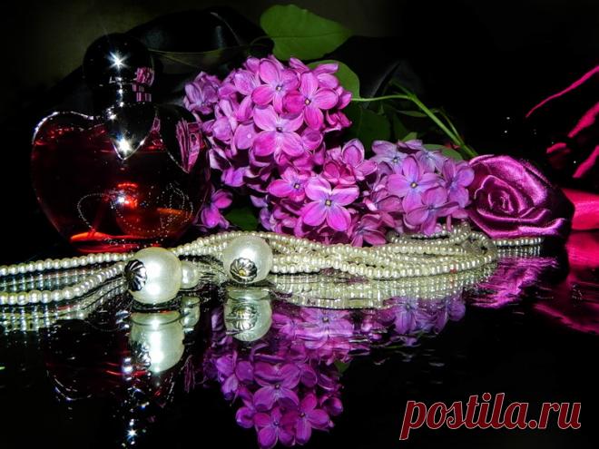 0_5e374_af9692b6_XL (800×600)