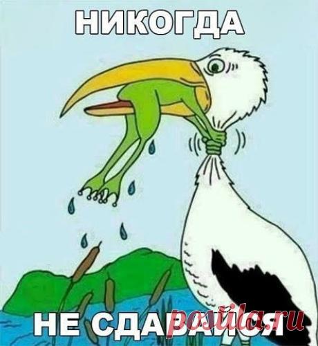 Секреты красоты. Маленький секрет, позволивший мне избавиться в от многолетних болей в спине - в 60+))