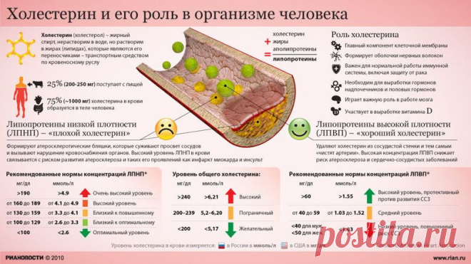 Миф о холестерине — крупнейший обман ХХ века