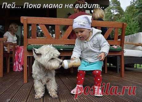 Приглашаю к сотрудничеству целеустремленных людей,для работы в интернете,работа не сложная и перспективная,доход реален и материален.Особых навыков не требуется, подробный материал присылается на Вашу почту.Это та работа, где действительно платят на ваш р.с в банке,без обманов и задержек!Никакого вложения не требуется!Ставьте &quot;+&quot; в комментарий и КЛАСС,что бы узнать подробности!