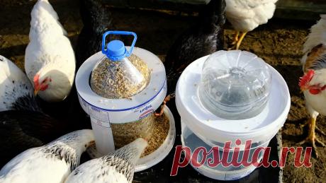 Легкая для повторения конструкция «долгоиграющей» автокормушки и автопоилки для домашней птицы Конструкция данной автокормушки и автопоилки очень легка и доступна для повторения, ввиду того, что используются всем доступные материалы. Согласитесь, ведь найти в хозяйстве пластиковое ведро, скажем от побелки, и ПЭТ бутыль на 5 литров не составит труда. Благодаря всего этим двум деталям можно