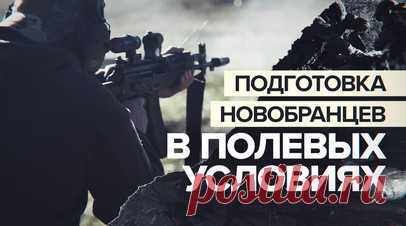 «Когда началась СВО, всей душой откликнулся»: новобранцы батальона Судоплатова проходят подготовку. В летнем полевом лагере Запорожской области проходят подготовку бойцы, которые в дальнейшем будут служить в добровольческом батальоне им. Судоплатова. Новобранцы учатся оказывать медпомощь при ранении, помогать товарищам и пользоваться оружием. Более опытные бойцы наставляют только что прибывших. Подробности — в видео. Читать далее
