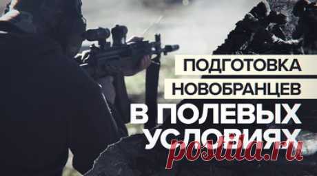 «Когда началась СВО, всей душой откликнулся»: новобранцы батальона Судоплатова проходят подготовку. В летнем полевом лагере Запорожской области проходят подготовку бойцы, которые в дальнейшем будут служить в добровольческом батальоне им. Судоплатова. Новобранцы учатся оказывать медпомощь при ранении, помогать товарищам и пользоваться оружием. Более опытные бойцы наставляют только что прибывших. Подробности — в видео. Читать далее
