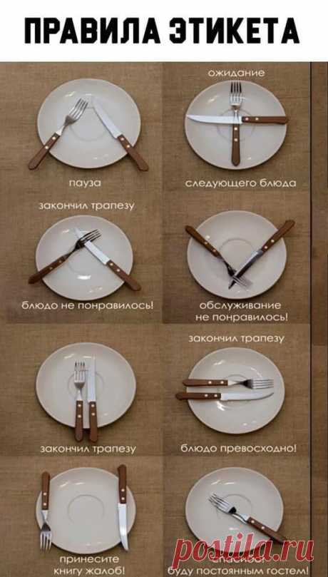 🍽️ Правила этикета 🍽️