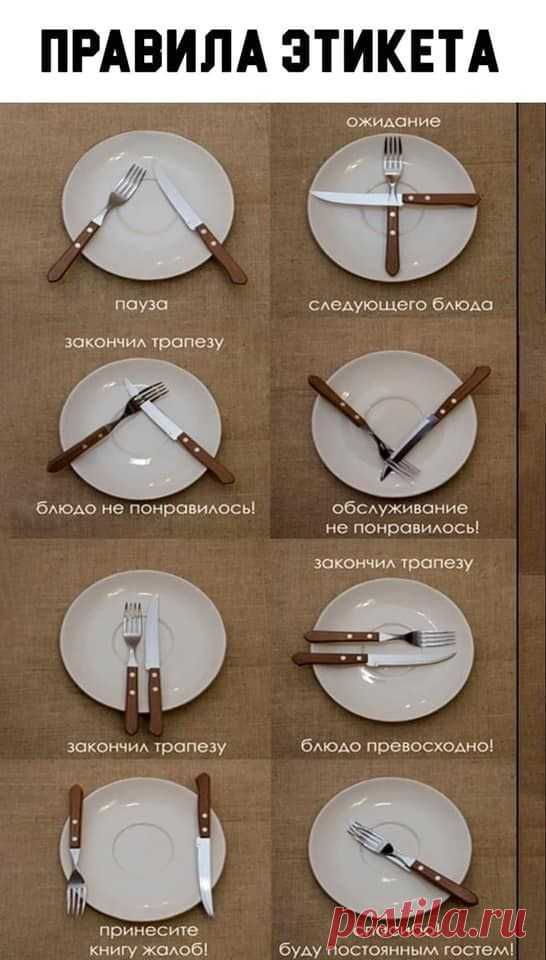 🍽️ Правила этикета 🍽️