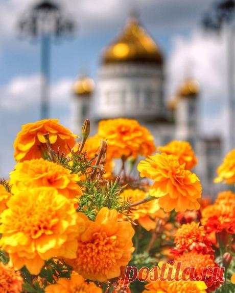 (2) Мой Мир@Mail.Ru