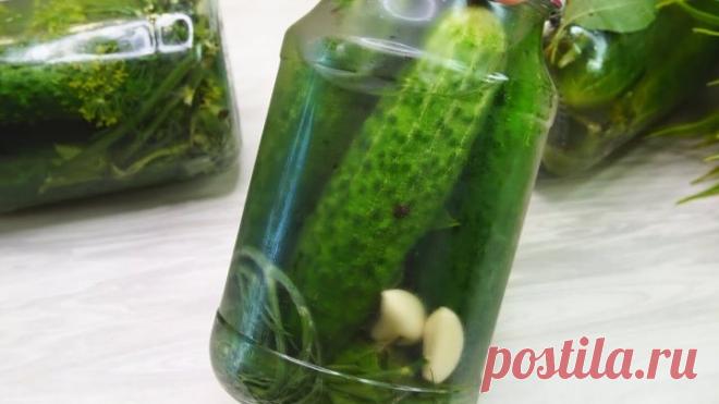 Огурцы Холодным способом на Зиму